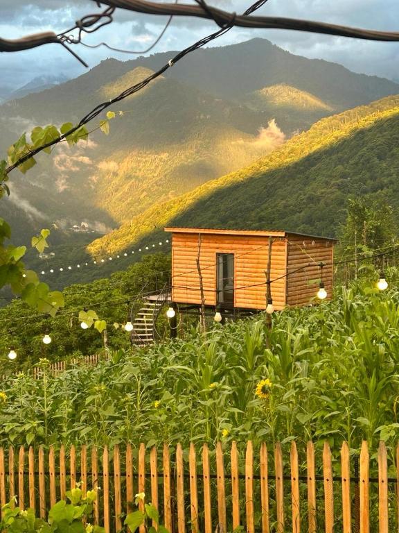 a small wooden cabin with a mountain in the background at Lemanor lodge - Mountain Cottage in Adjara, Georgia in Kʼveda Chʼkhutunetʼi
