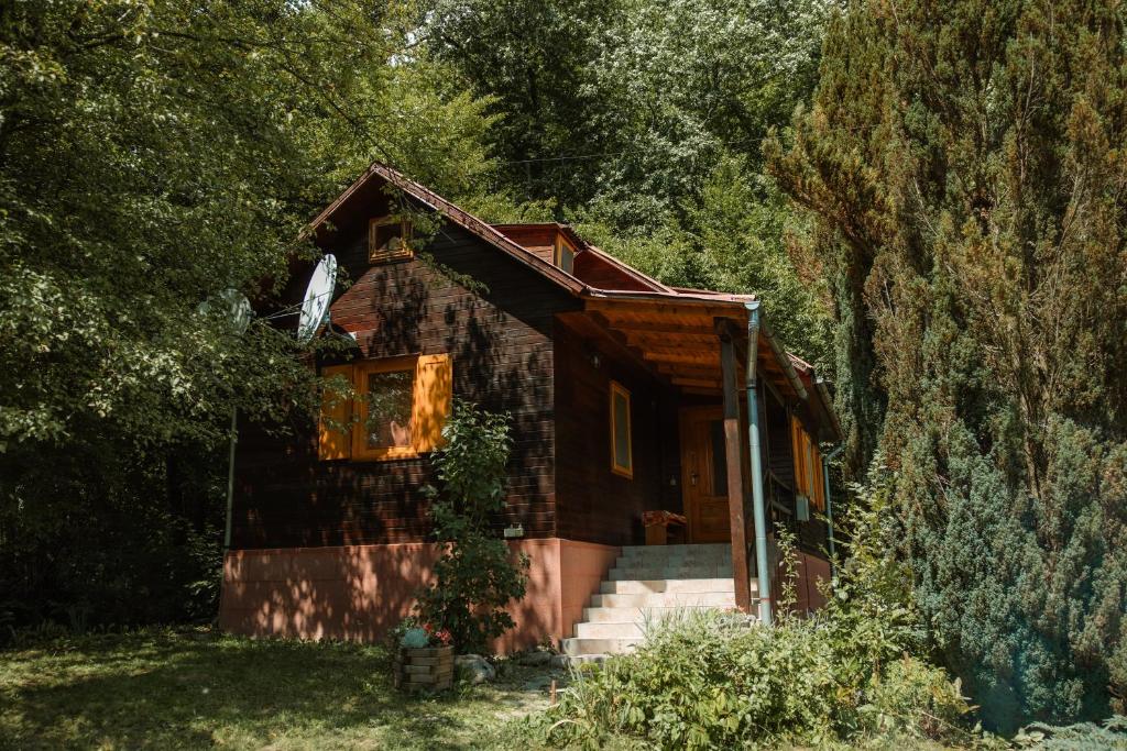 a small house in the middle of a forest at Cheerful Forest Cabin with Hot Tub! 