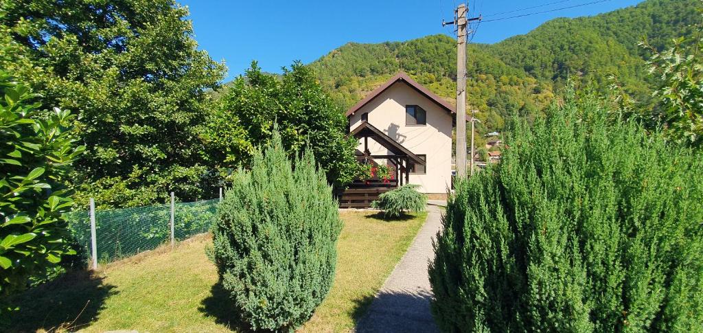 Κήπος έξω από το Casa Lotrilor