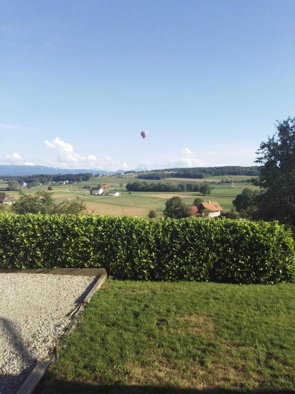 Blick auf eine Hecke mit einem Feld im Hintergrund in der Unterkunft Ornithorynque in Noréaz