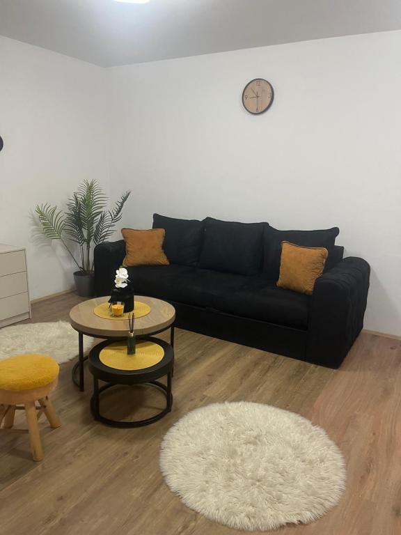 Una sala de estar con un sofá negro y una mesa. en Zeravica apartmani, en Šid