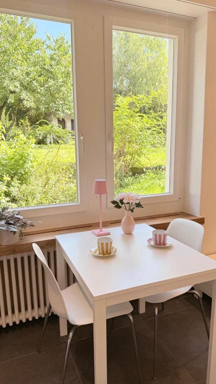 沙夫豪森Josephines Studio的有窗户的房间里有一张白色的桌子和几把椅子