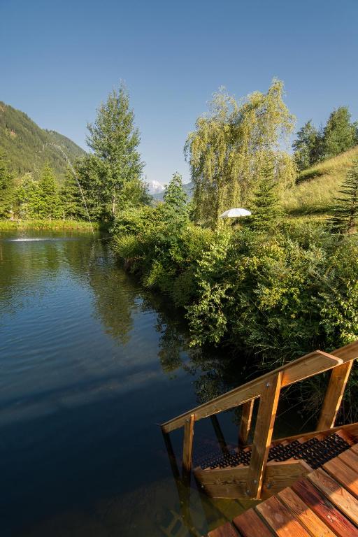 Příroda nedaleko apartmánu