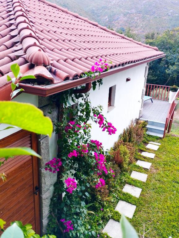 Quinta da Casa Matilde - NATURE HOUSE - 19