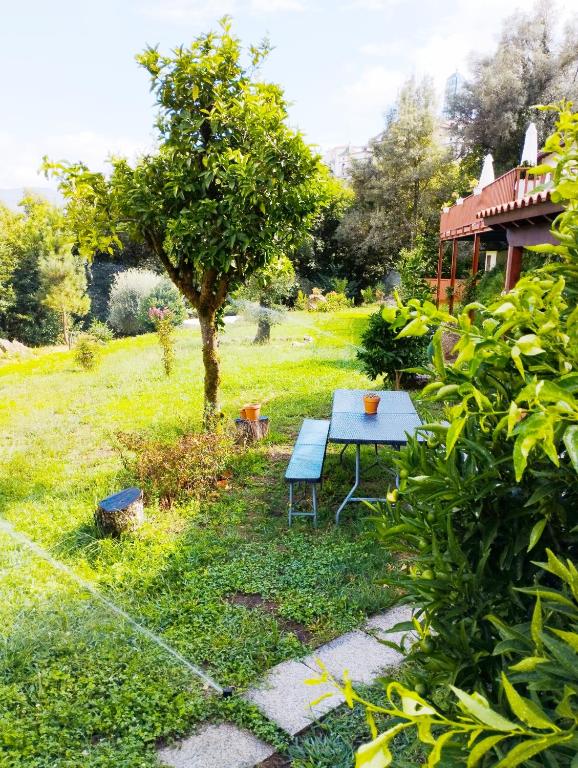 Quinta da Casa Matilde - NATURE HOUSE - 9