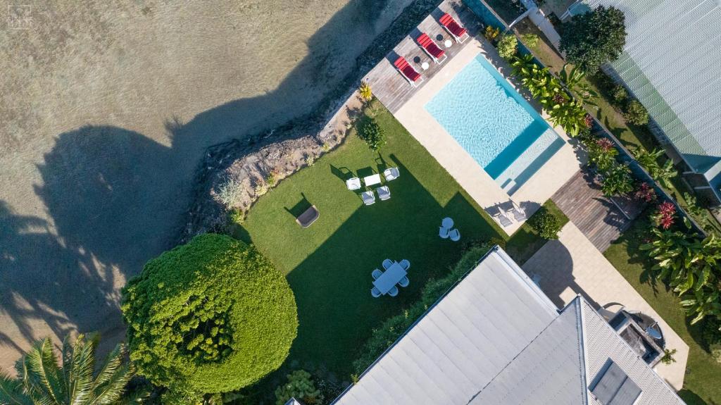 Le Ficus Iti - Belle villa bord de mer et piscine - photo 4 - Tahiti, Polynésie