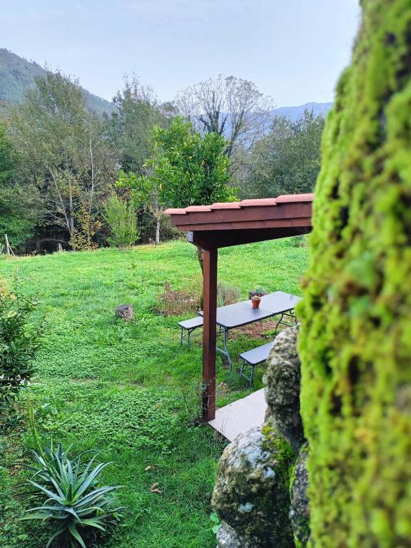 Quinta da Casa Matilde - NATURE HOUSE - 17