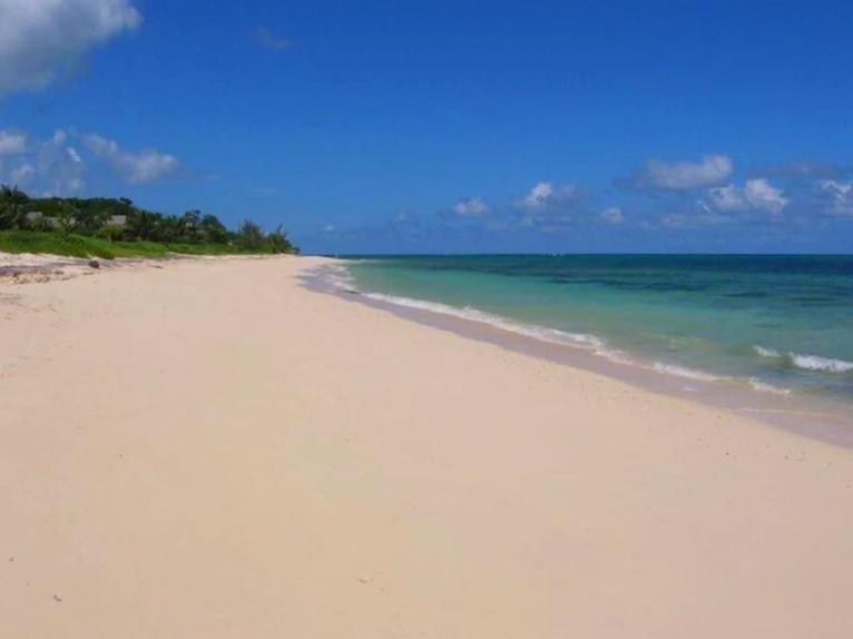 Lovely Apartment with 24h security - walking distance to beach, downtown, shops and restaurants photo