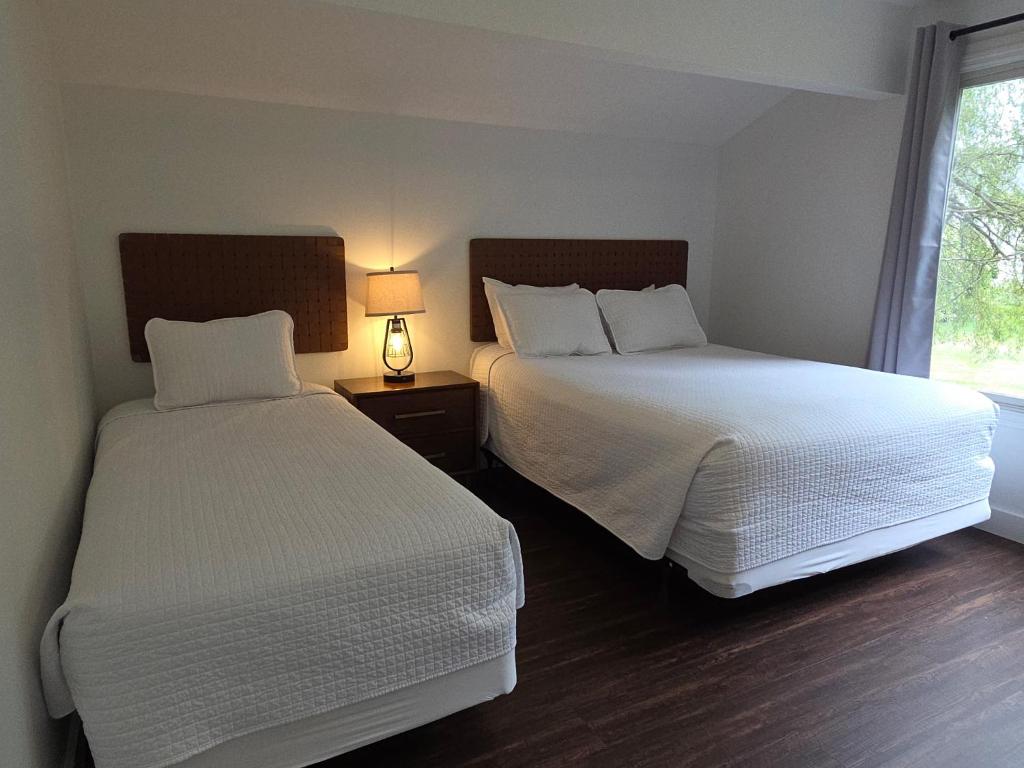 Stowe Motel & Snowdrift - Chalet House