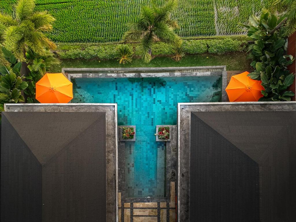 an overhead view of a swimming pool with two umbrellas at Sierra Vista 2 Ubud in Ubud