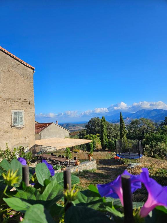 a view from the garden of a house with purple flowers at A Casa Di a Vita in Rapale