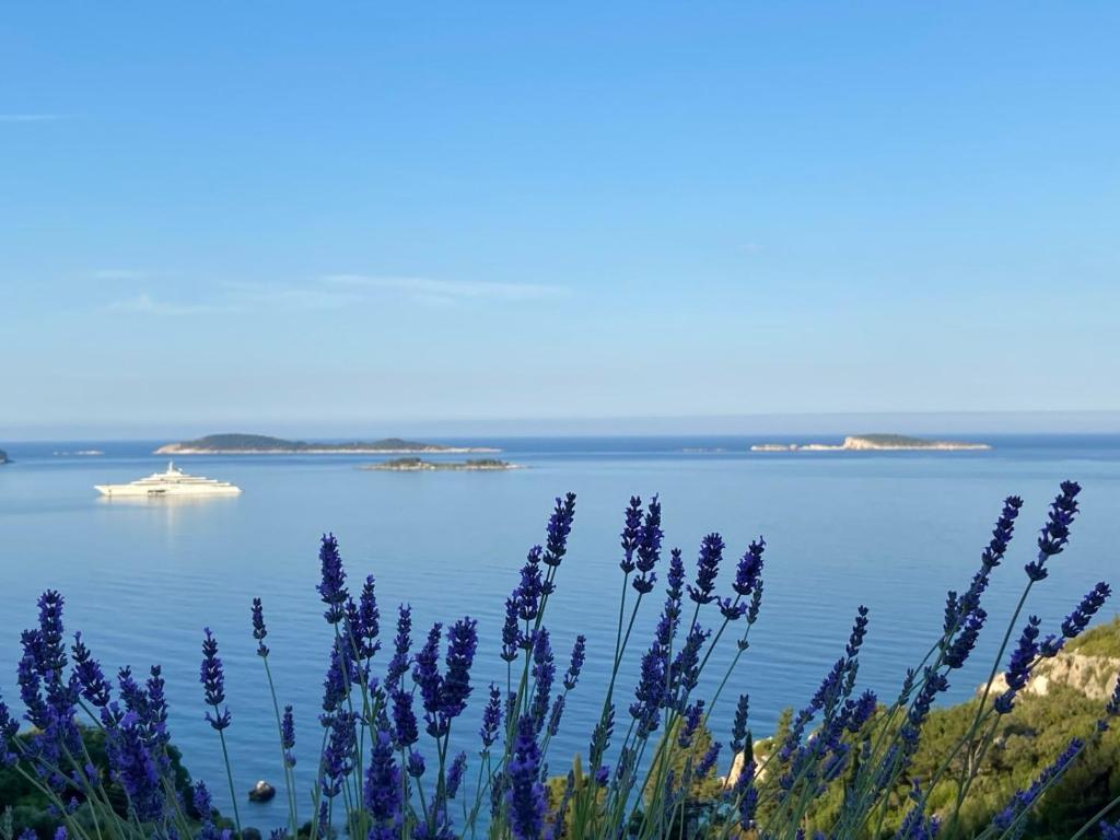 a boat on the water with purple flowers at Apartment Infinity Blue in Mlini