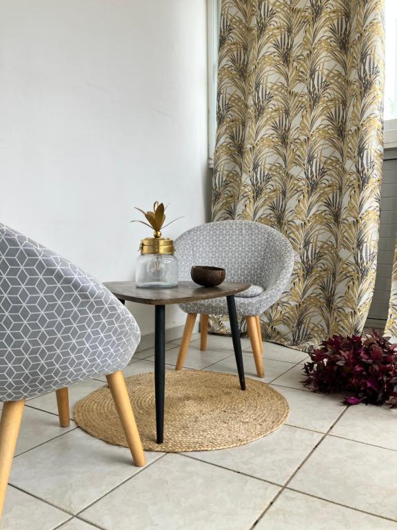 Photo de la galerie de l'établissement Ananas appart, à Saint-Denis