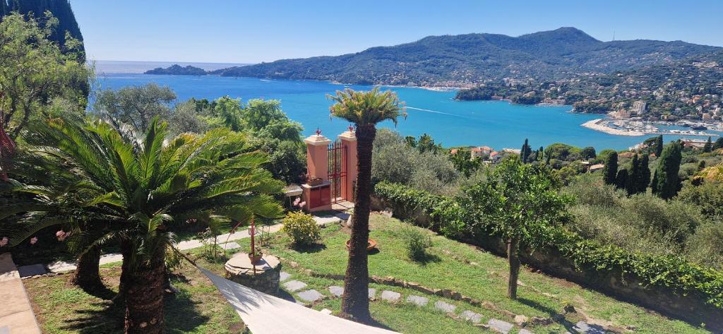 una vista de un cuerpo de agua con palmeras en Villa Razeto, en Zoagli