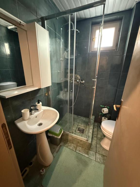 Un baño con ducha, lavabo e inodoro. en Studio 75 meters to the sea, en Rafailovici