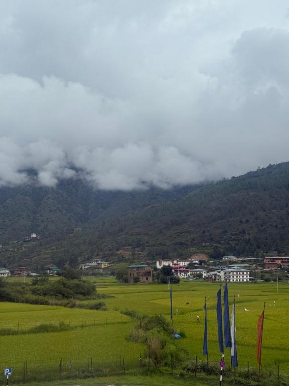 Un campo verde con sombrillas frente a una montaña. en Sompal Serviced Apartment, en Paro