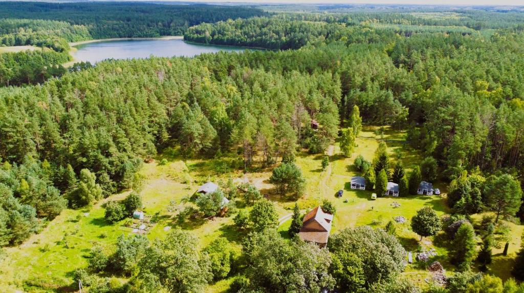 an aerial view of a house in a forest next to a lake at Domki w Lesie in Silnowo