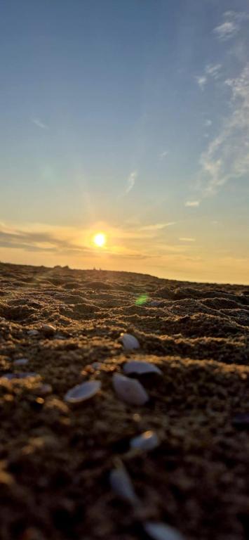 Hotel Sobieszewo - Resim 6