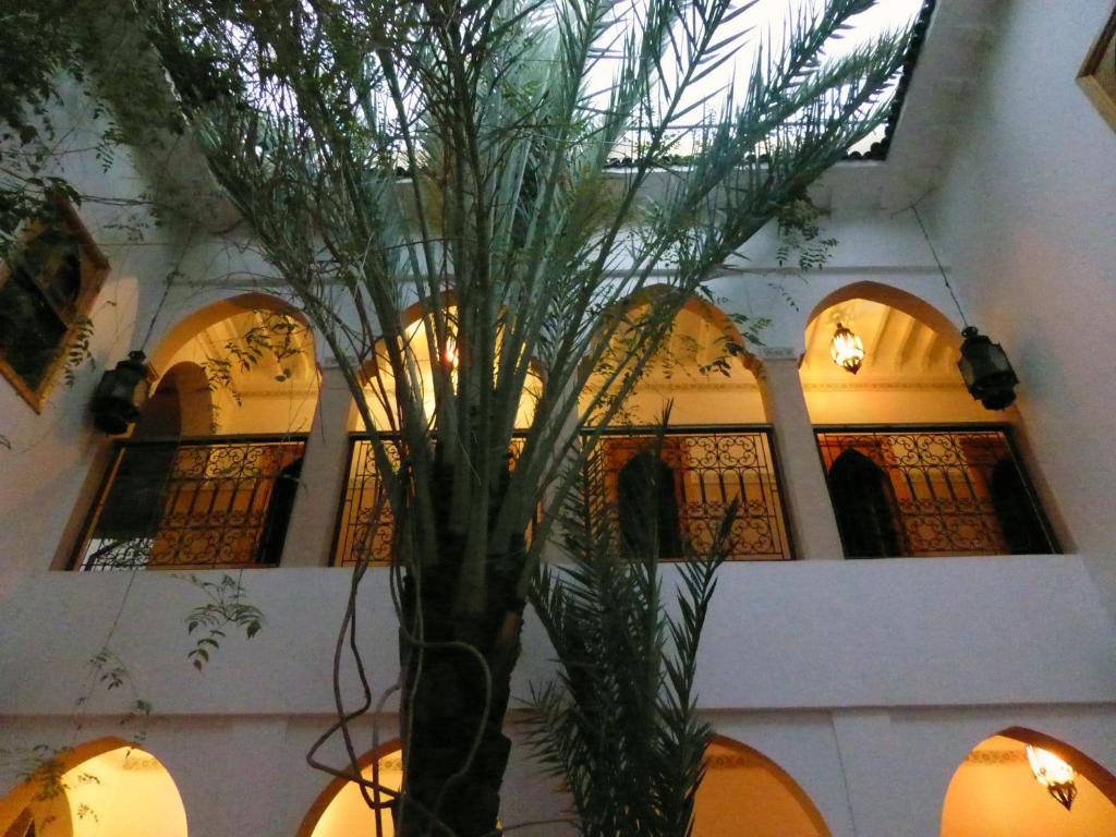 Fotografie z fotogalerie ubytování Riad Dar Mamouni v Marrákéši