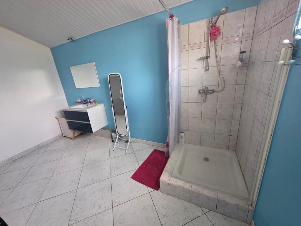 un baño con ducha y lavabo en Chez Josie et Julien, en Sainte-Rose