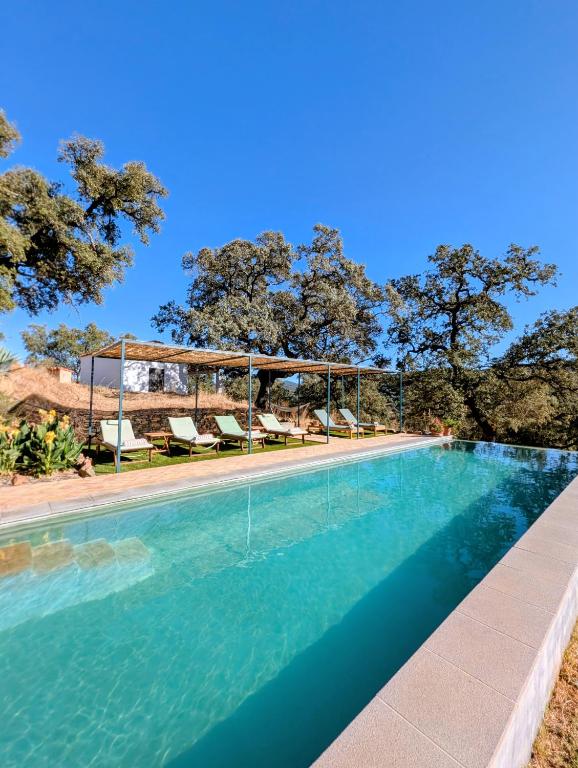 a swimming pool with chairs and trees in the background at Finca Bravo in Cortegana