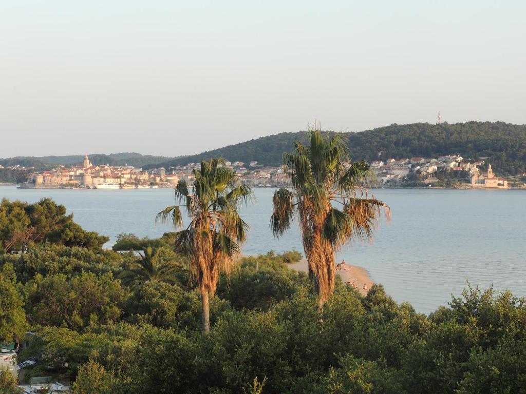 two palm trees on a hill next to a body of water at CROSurf Apartments Pelješac Kučište in Kučište