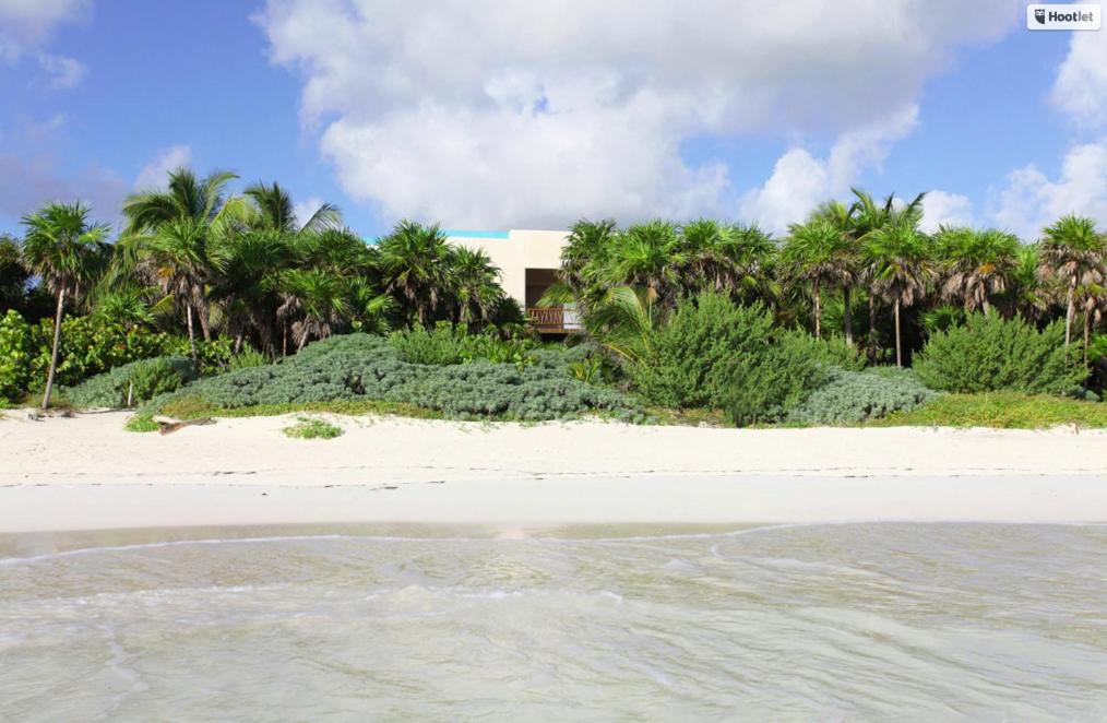 トゥルムにあるAll Inclusive Sian Kaan Villa 12のヤシの木が茂る浜辺の家
