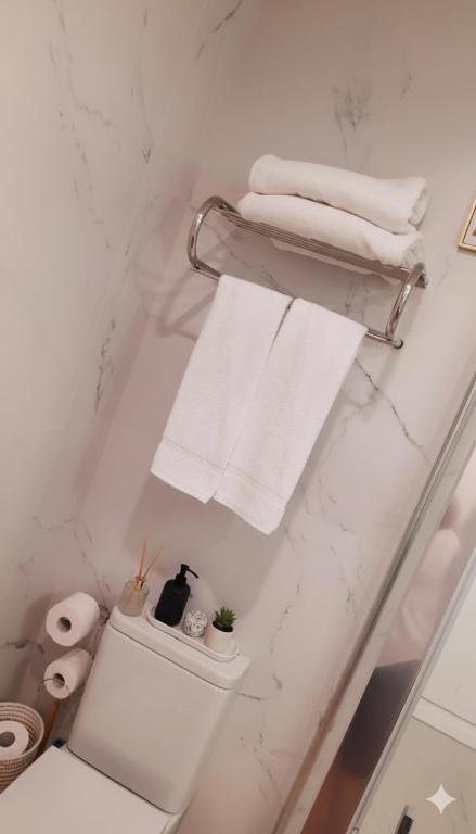 Apartamento la Marquesa - 14