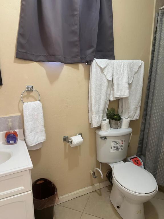 Xterra Palm Guest House photo