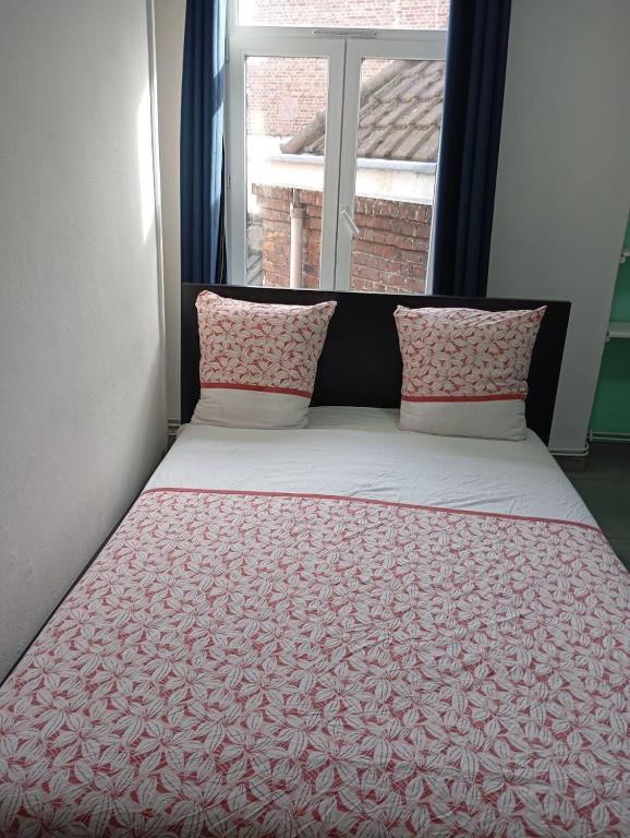 Bett mit rosa Kissen in einem Zimmer mit Fenster in der Unterkunft Studio rénové proche métro in Lille