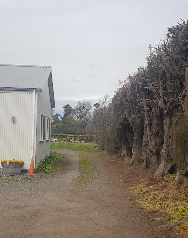 Country Cutie-Pie, close to town - Resim 17