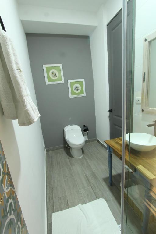 Hotel Pajara Pinta - 