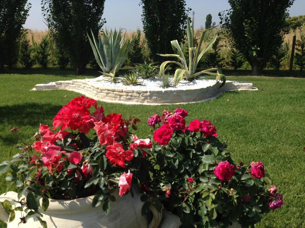 Zahrada ubytování Hotel Bussana