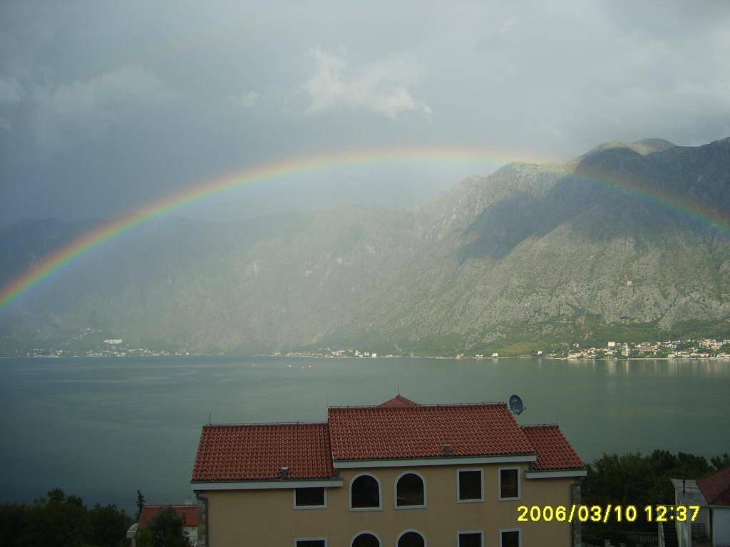 Apartments Djuricic - 3