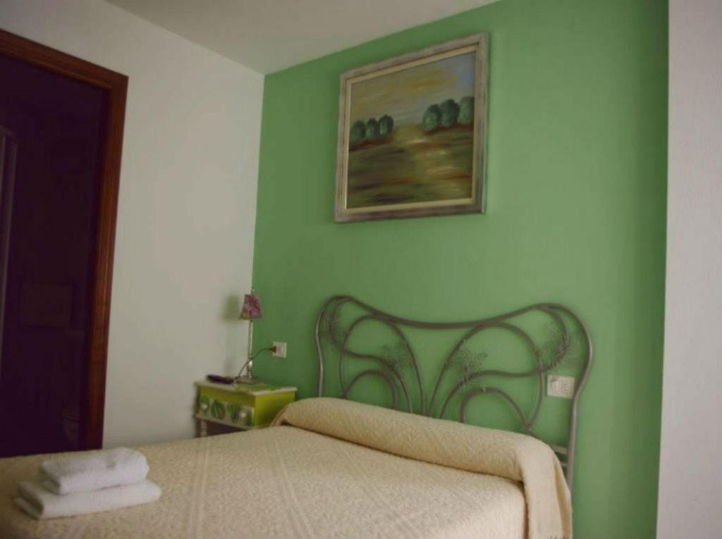 1 dormitorio verde con 1 cama y una foto en la pared en Pension Casa Curro, en Palas de Rei 