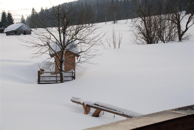 Landhaus Gertrude Eder v zime