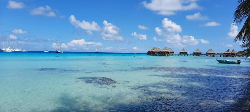 Fare Moana - photo 6 - Rangiroa, Polynésie