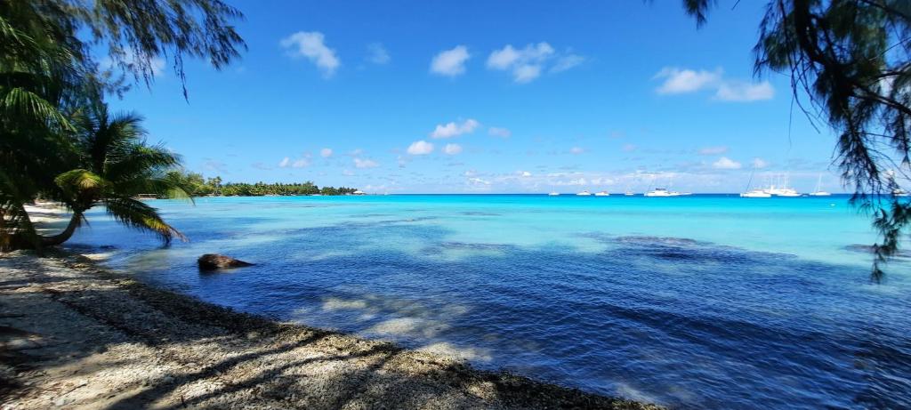Fare Moana - photo 12 - Rangiroa, Polynésie