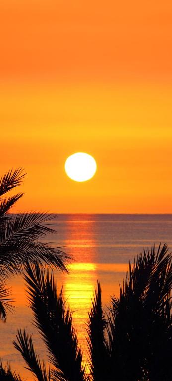 a sunset over the ocean with palm trees in the foreground at Dream View Mountain Cabin 2 in Durban