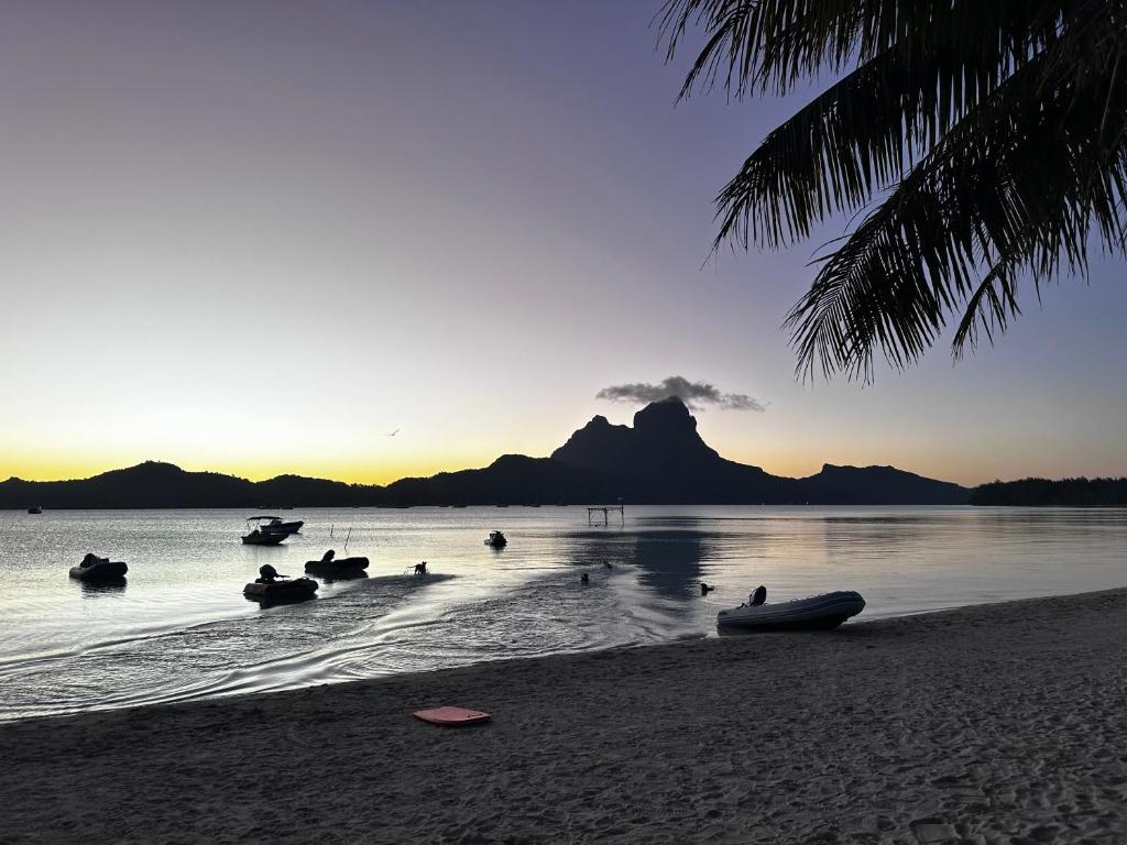 Te Fati Faniu Lodge, Bora Bora