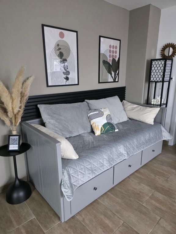 Tiger Apartment - 14