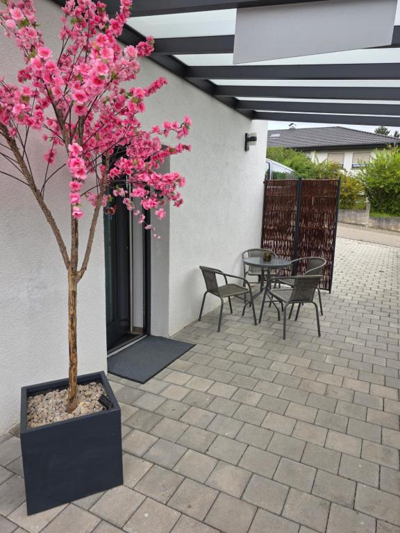 Tiger Apartment - 12