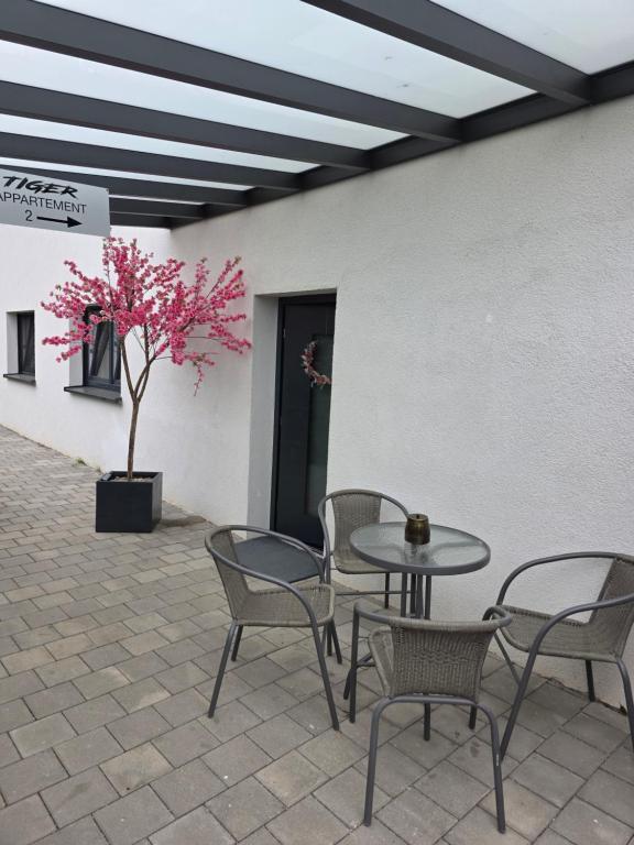 Tiger Apartment - 11