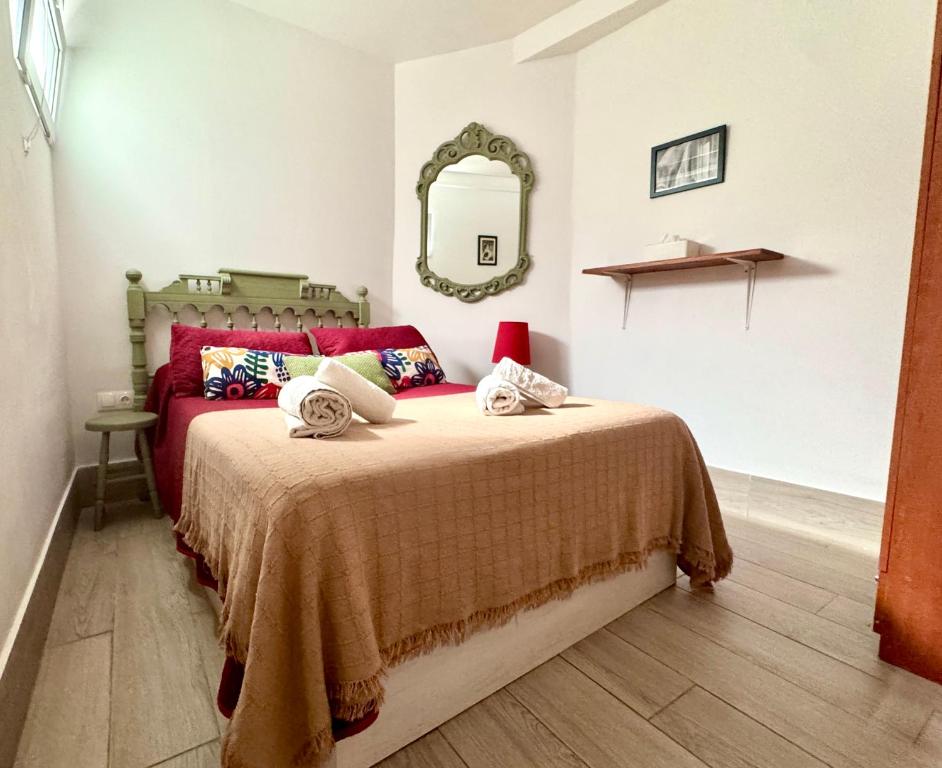 een slaapkamer met een groot bed en een spiegel bij Casa Albaicin 1 in Granada