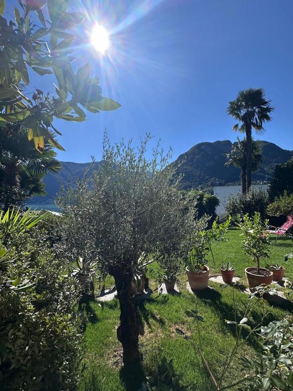 Villa Lake View 2 Double Bedrooms - Resim 24