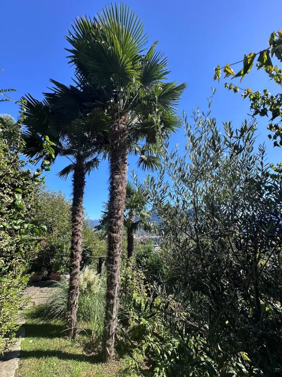 Villa Lake View 2 Double Bedrooms - Resim 34