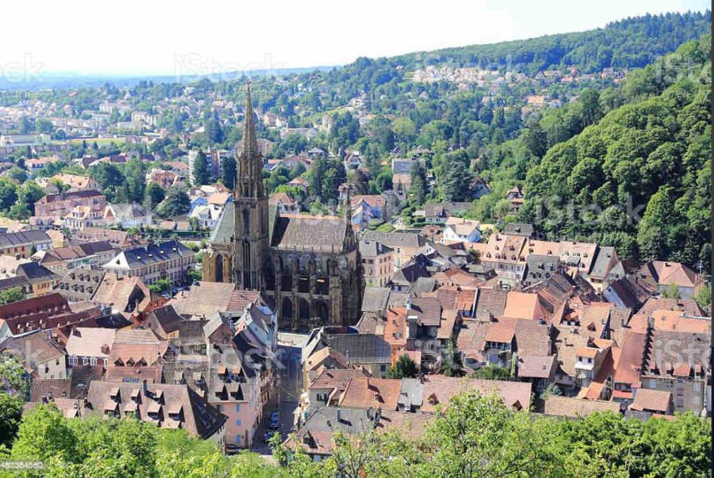 Vivez l'Alsace! Piscine, Montagne&Noël Magique – photo 53