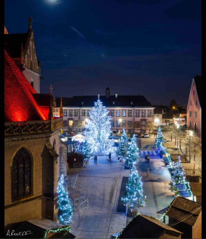 Vivez l'Alsace! Piscine, Montagne&Noël Magique – photo 27