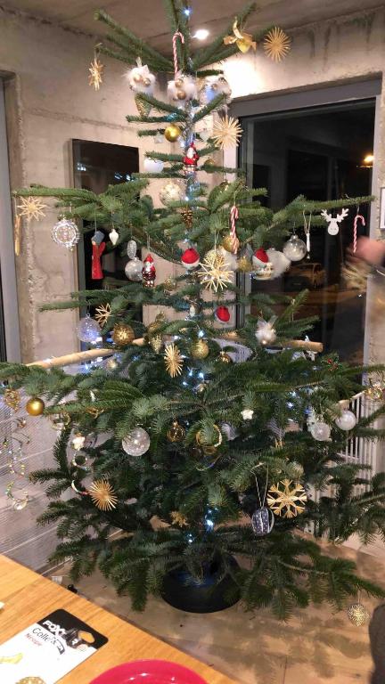 Vivez l'Alsace! Piscine, Montagne&Noël Magique – photo 43