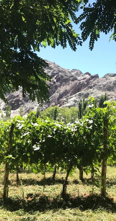 FINCA TIERRA CALMA Casa 2